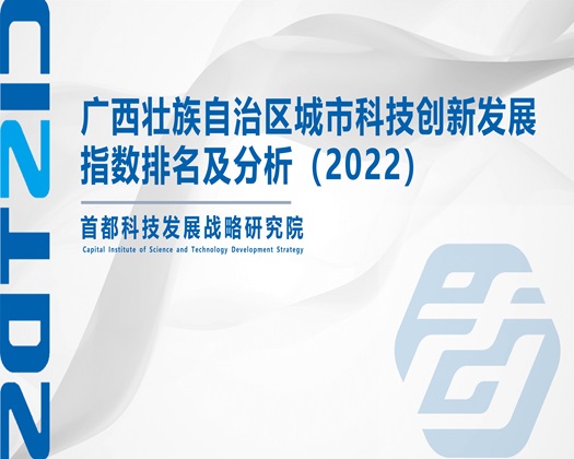 大香蕉插逼【成果发布】广西壮族自治区城市科技创新发展指数排名及分析（2022）